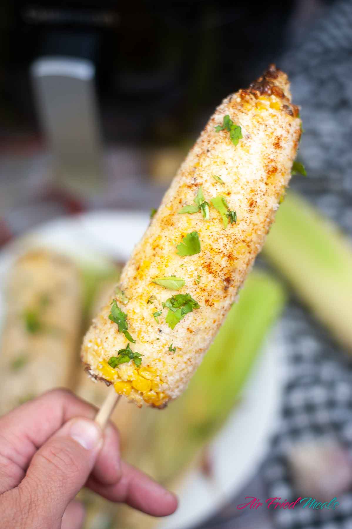 Closeup of air fryer Mexican street corn held up on a skewer.